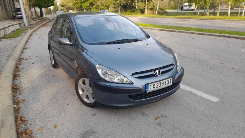 Peugeot 307 2.0i, снимка 2 - Автомобили и джипове - 47294698