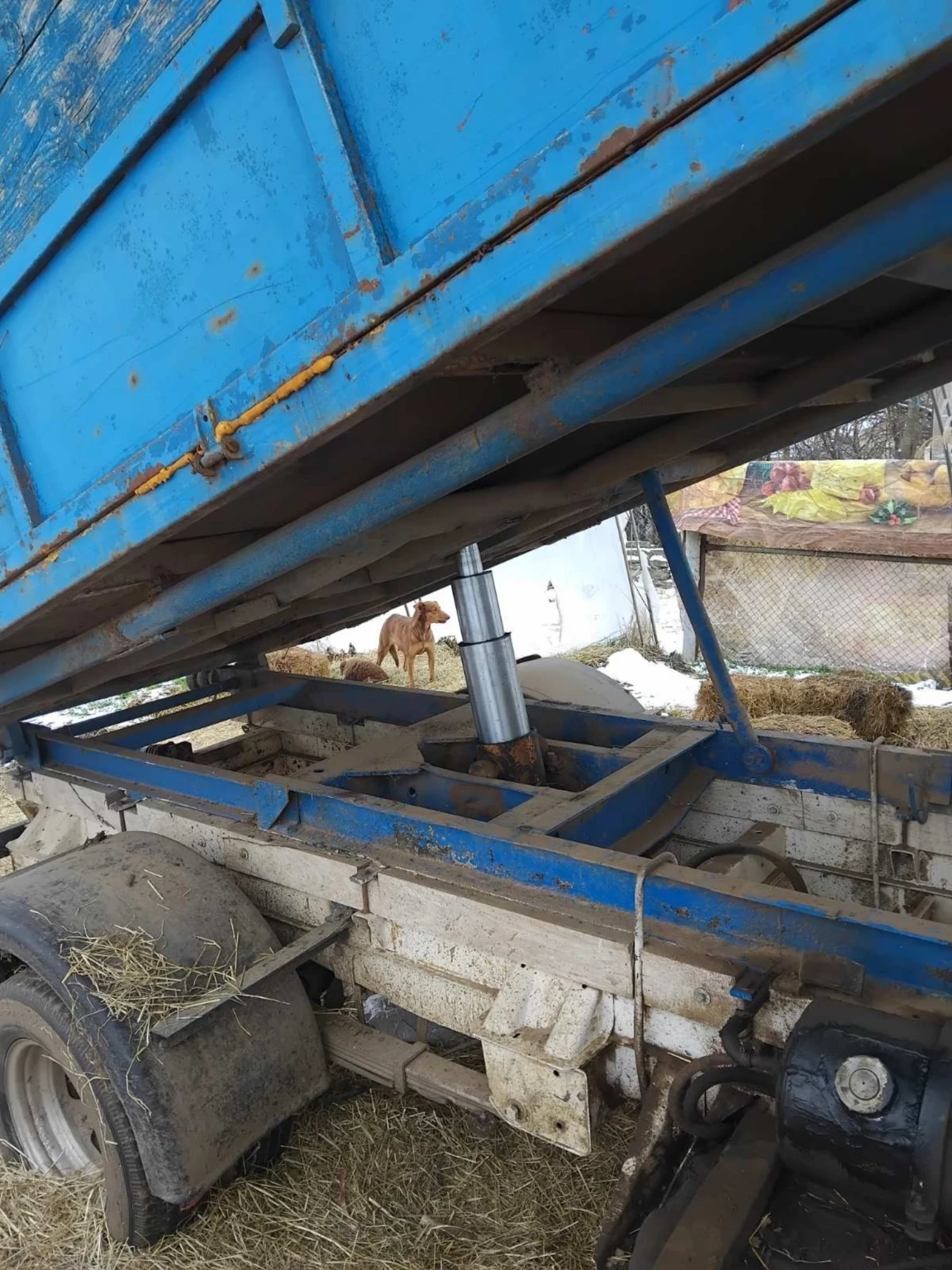 Mercedes-Benz 410 2.9, снимка 6 - Бусове и автобуси - 54455032