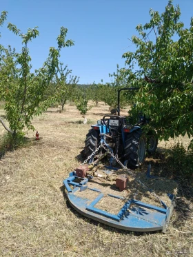  Landini 4655  | Mobile.bg    4