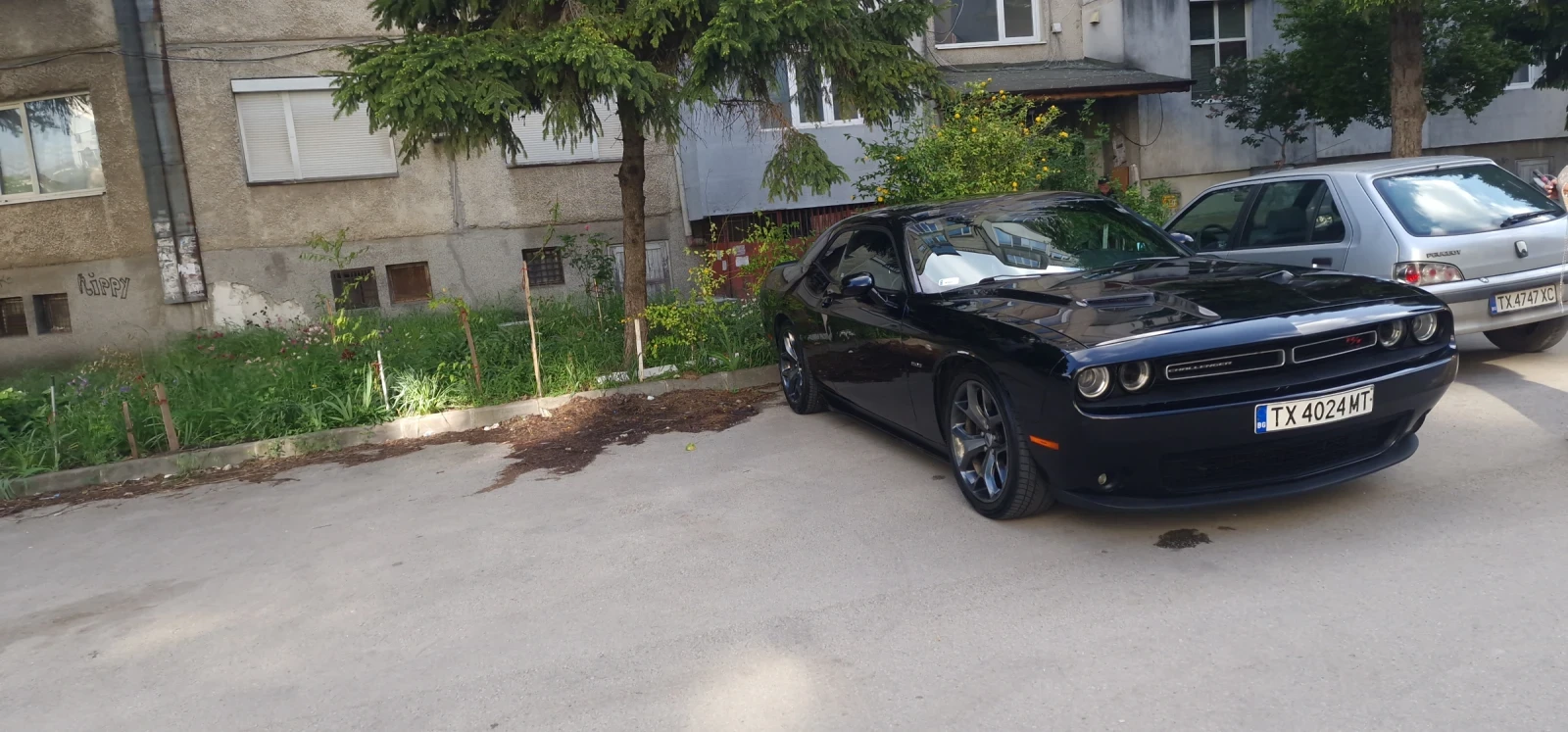 Dodge Challenger R/T plus , снимка 6 - Автомобили и джипове - 54713999