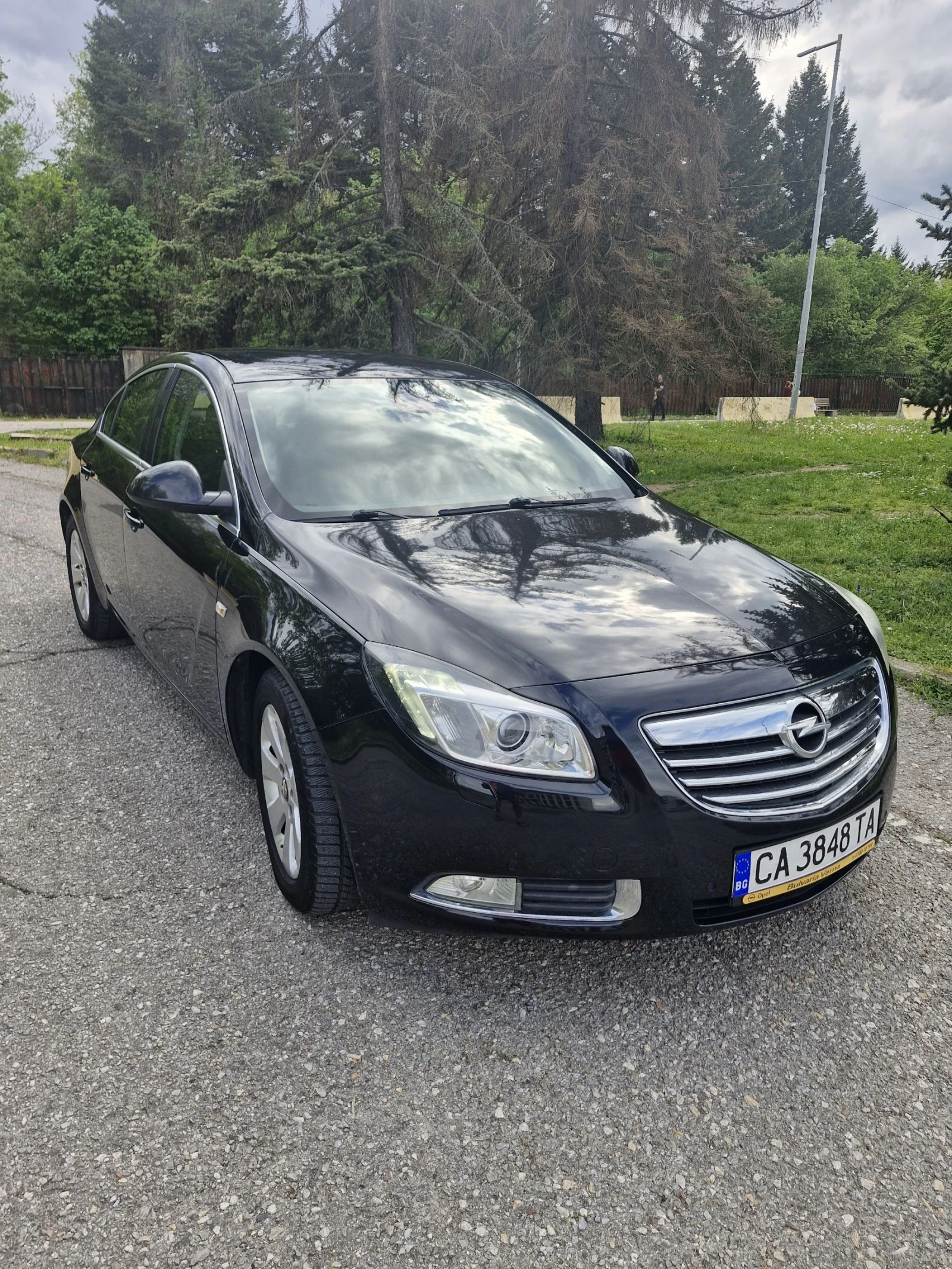 Opel Insignia, снимка 11 - Автомобили и джипове - 54994486
