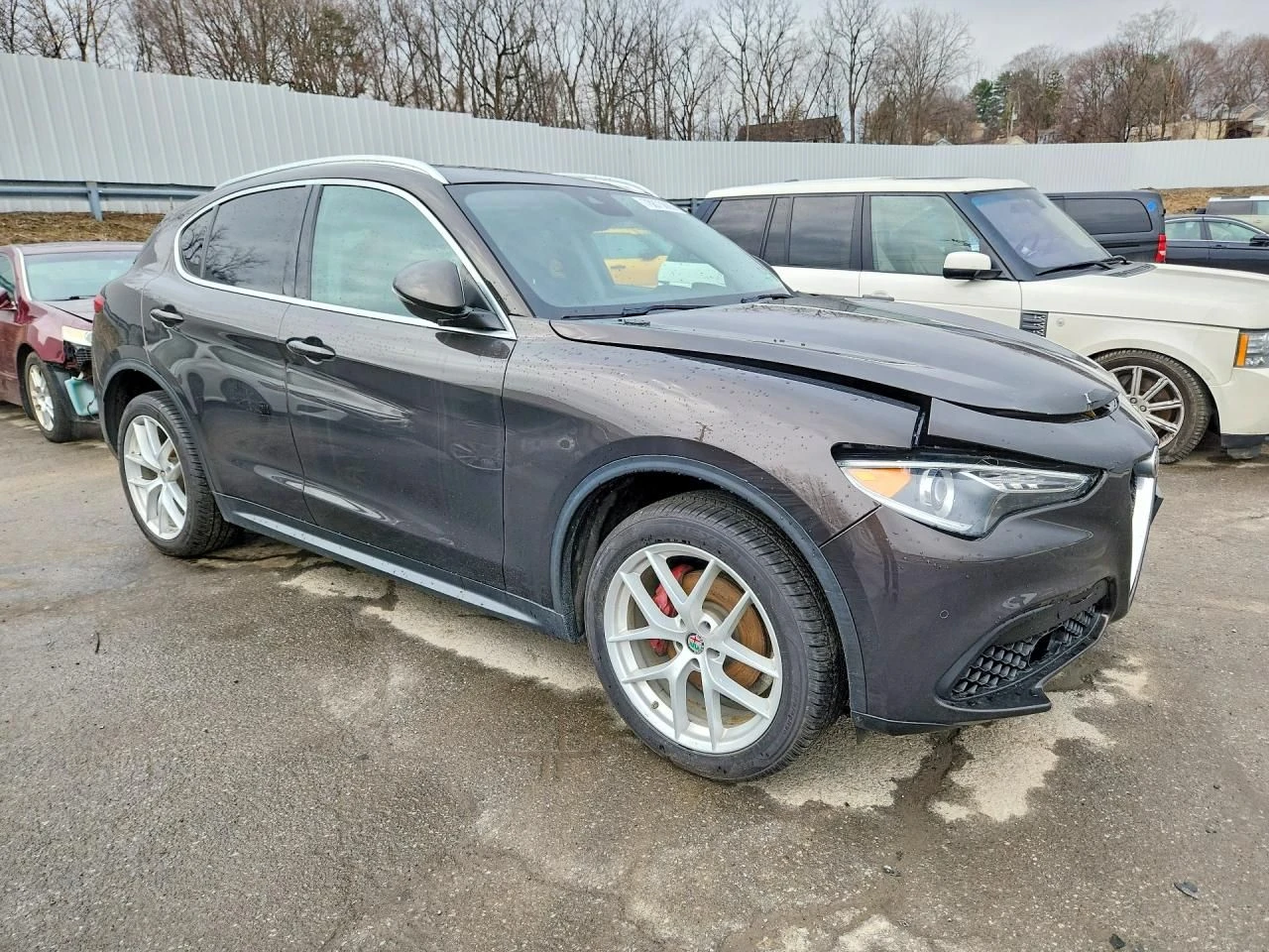 Alfa Romeo Stelvio, снимка 4 - Автомобили и джипове - 54448284