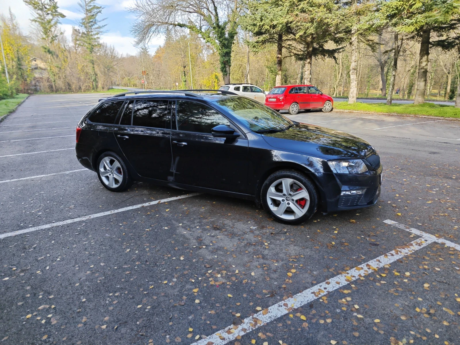 Skoda Octavia VRS CUPA - изображение 4