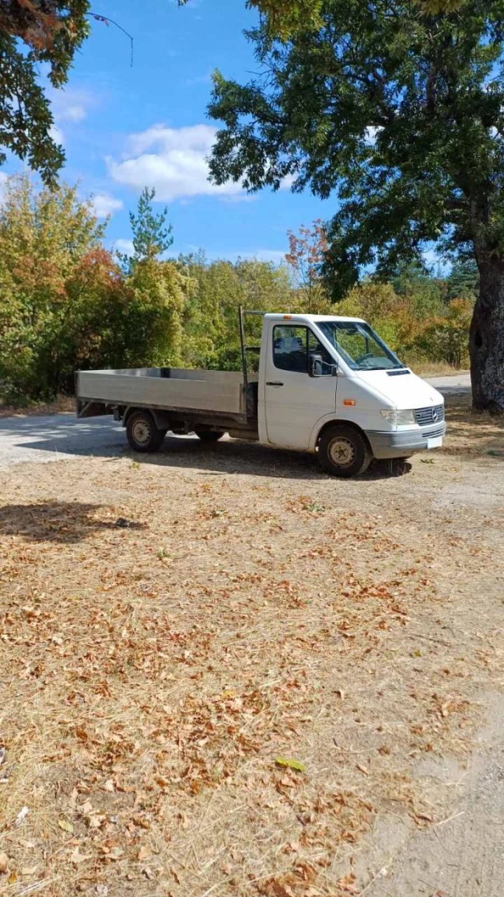 Mercedes-Benz 310, снимка 5 - Бусове и автобуси - 56266219