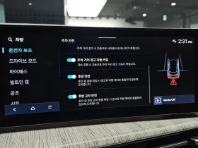 Hyundai Santa fe 2.5T 4Wd Calligraphy, снимка 17