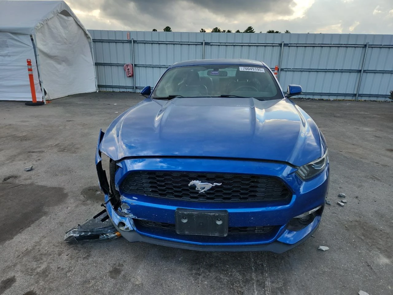 Ford Mustang ECO BOOST * * CARFAX * * * *  | Mobile.bg   2