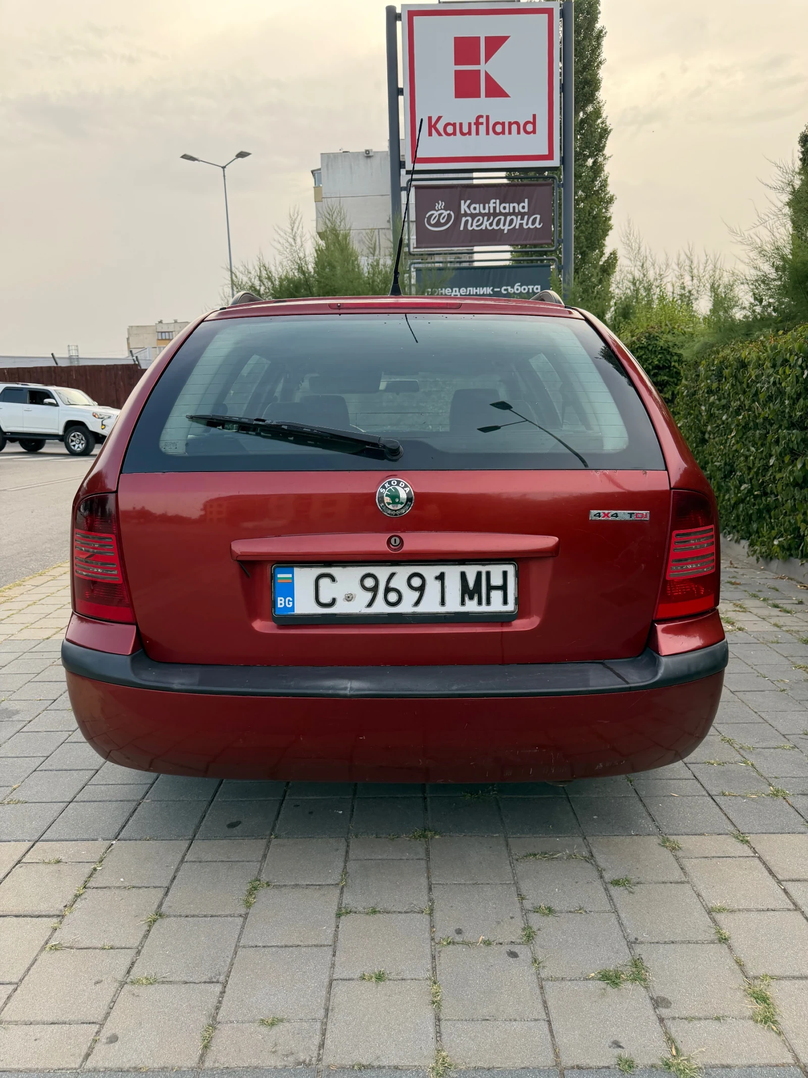 Skoda Octavia 1.9TDI 4x4, снимка 3 - Автомобили и джипове - 55890333