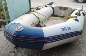       Zodiac 310S