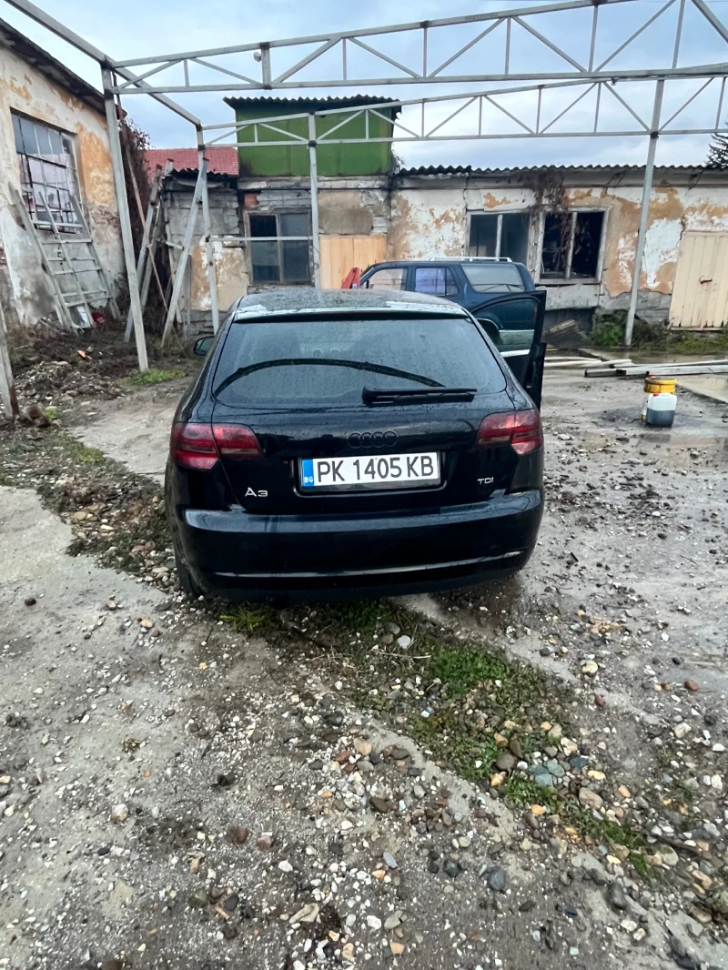 Audi A3 Без, снимка 5 - Автомобили и джипове - 48261761