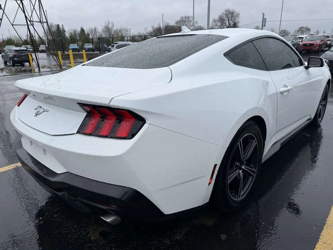 Ford Mustang * I4 * CARFAX * ���� �� �� | Mobile.bg � ����������� 3