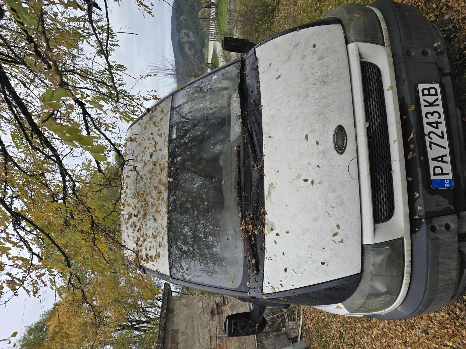 Ford Transit, снимка 1