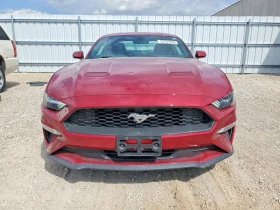 ������ Ford Mustang