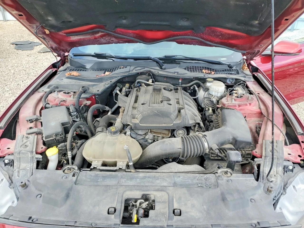 Ford Mustang ECOBOOST КОЖА* ПОДГРЕВ* ОБДУХВАНЕ* ГОЛЯМА НАВИГАЦИ, снимка 11 - Автомобили и джипове - 54737990
