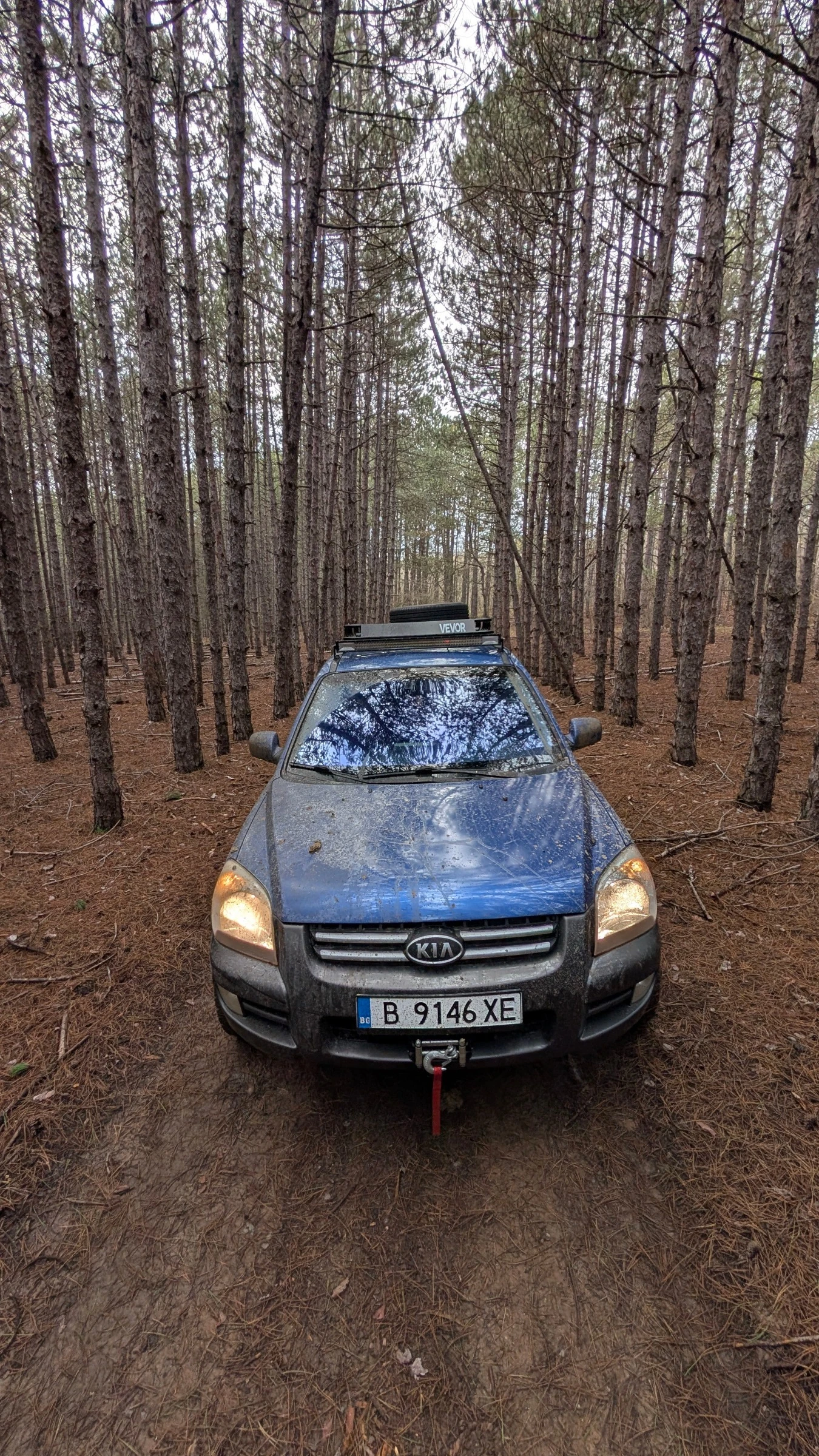 Kia Sportage 2.0D, снимка 10 - Автомобили и джипове - 53823867