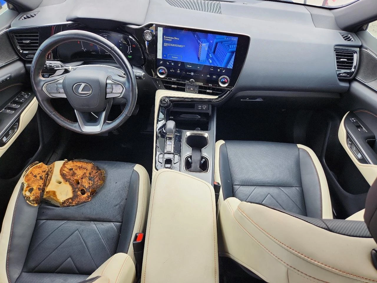 Lexus NX 350h 2.5l, снимка 8 - Автомобили и джипове - 55278105