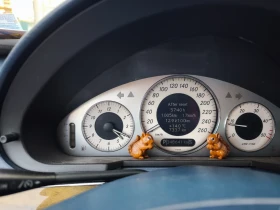 Mercedes-Benz E 270 Avangarde | Mobile.bg    12