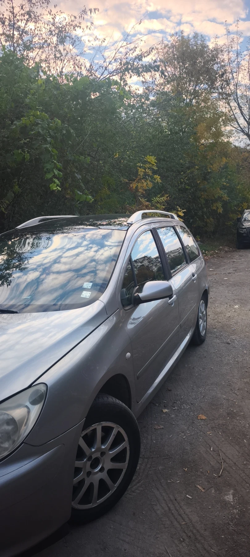 Peugeot 307, снимка 7 - Автомобили и джипове - 56733098