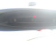Обява за продажба на Citroen Xsara picasso ~4 250 лв. - изображение 10