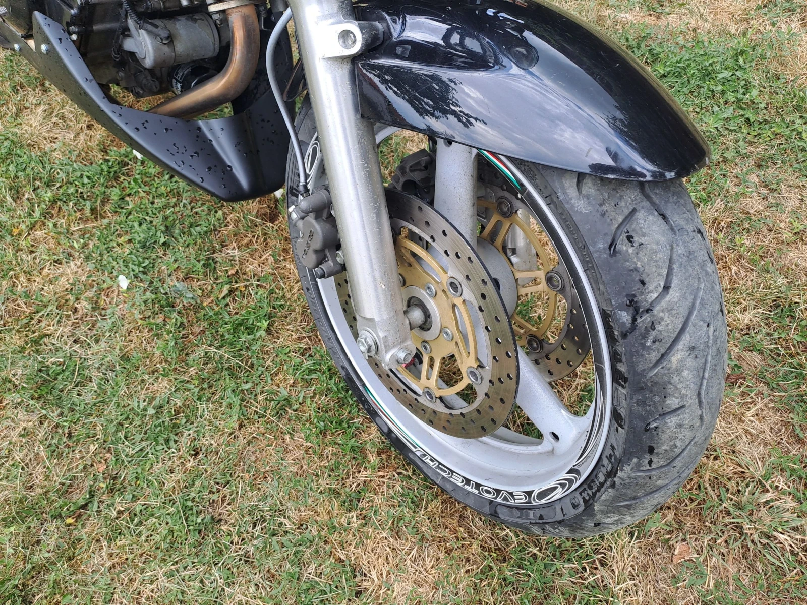 Suzuki SV  - изображение 4