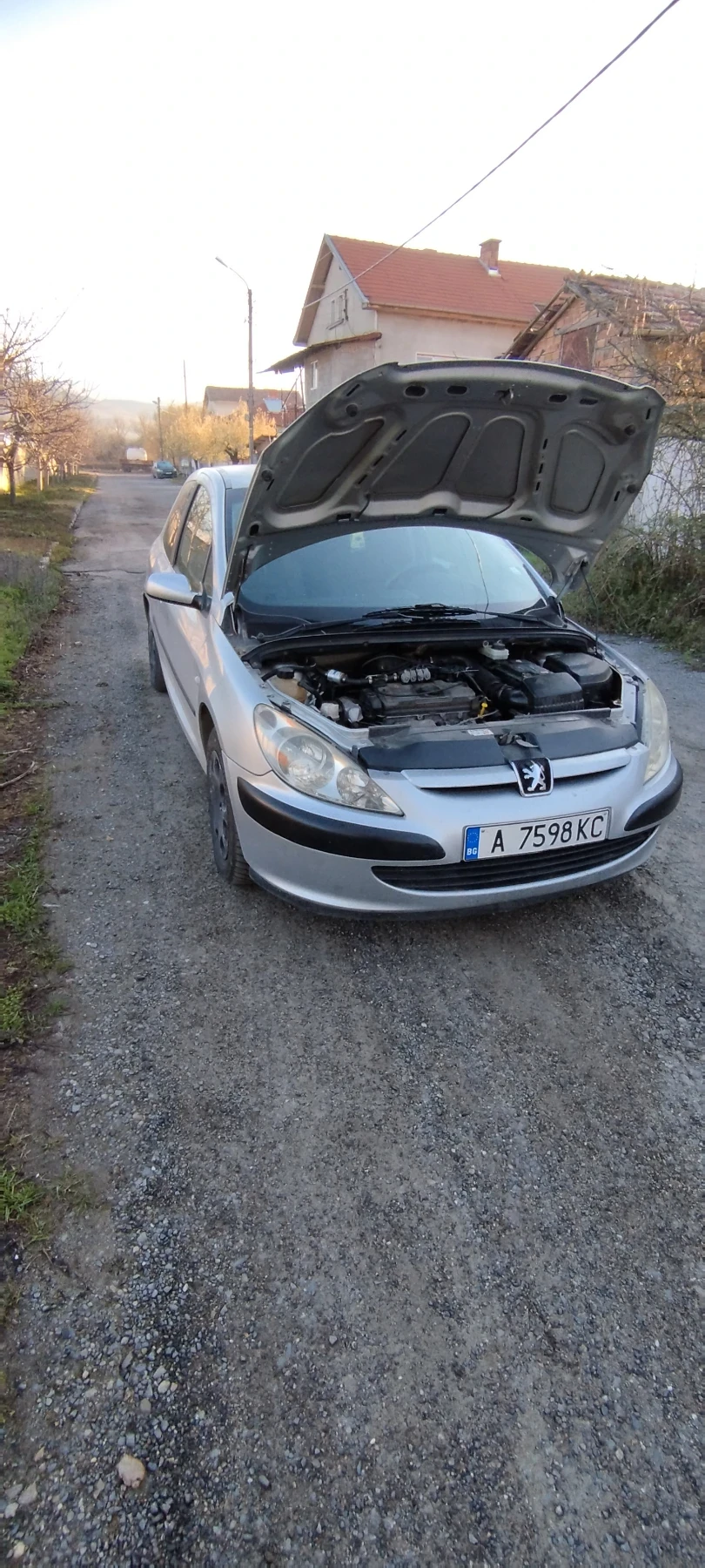 Peugeot 307, снимка 3 - Автомобили и джипове - 56120124