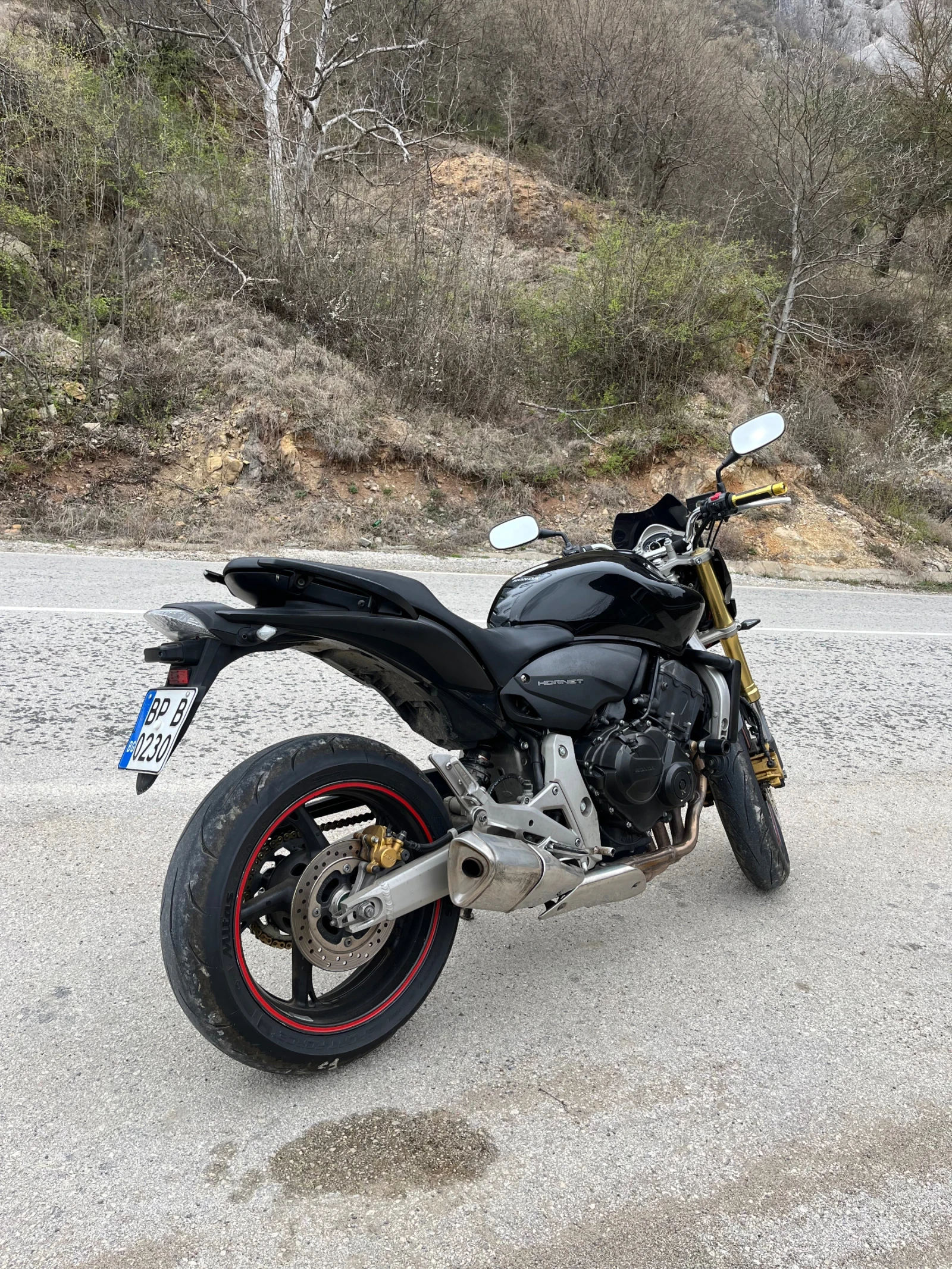 Honda Hornet  - изображение 4