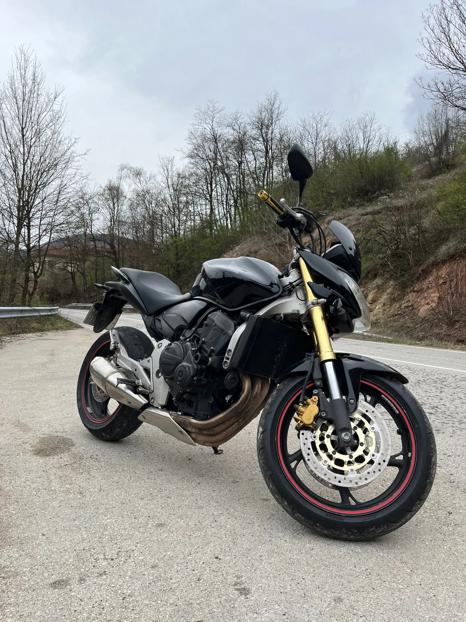 Honda Hornet  - изображение 2