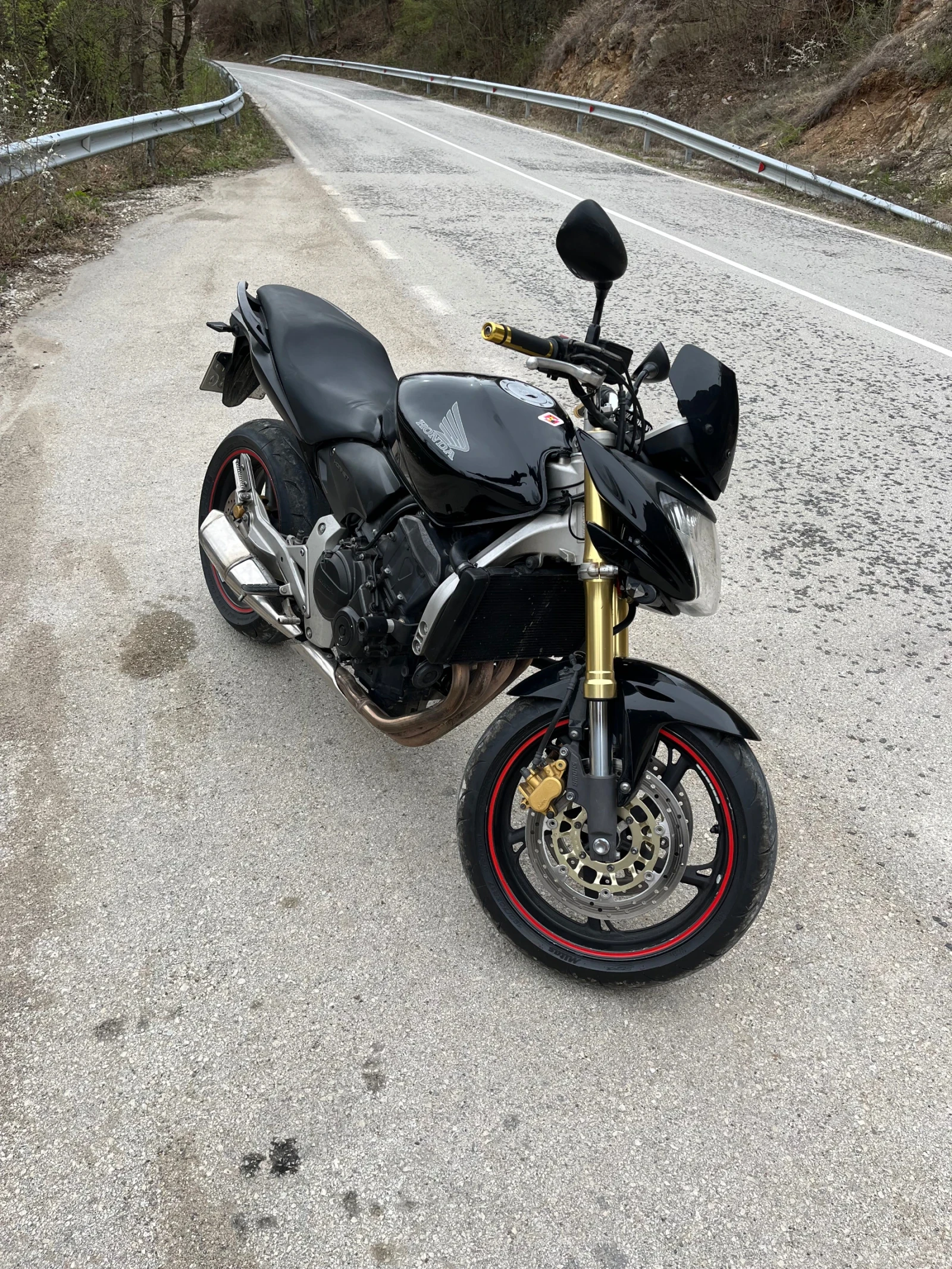 Honda Hornet  - изображение 3