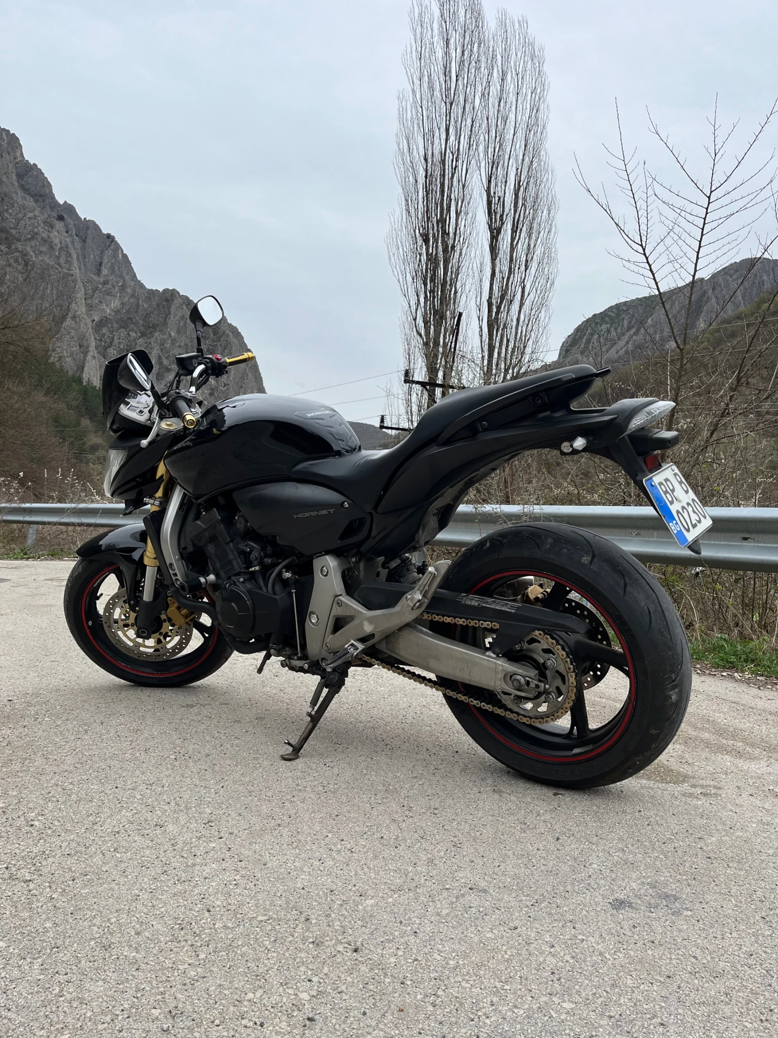 Honda Hornet  - изображение 5