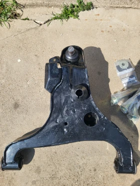 Носачи , снимка 2