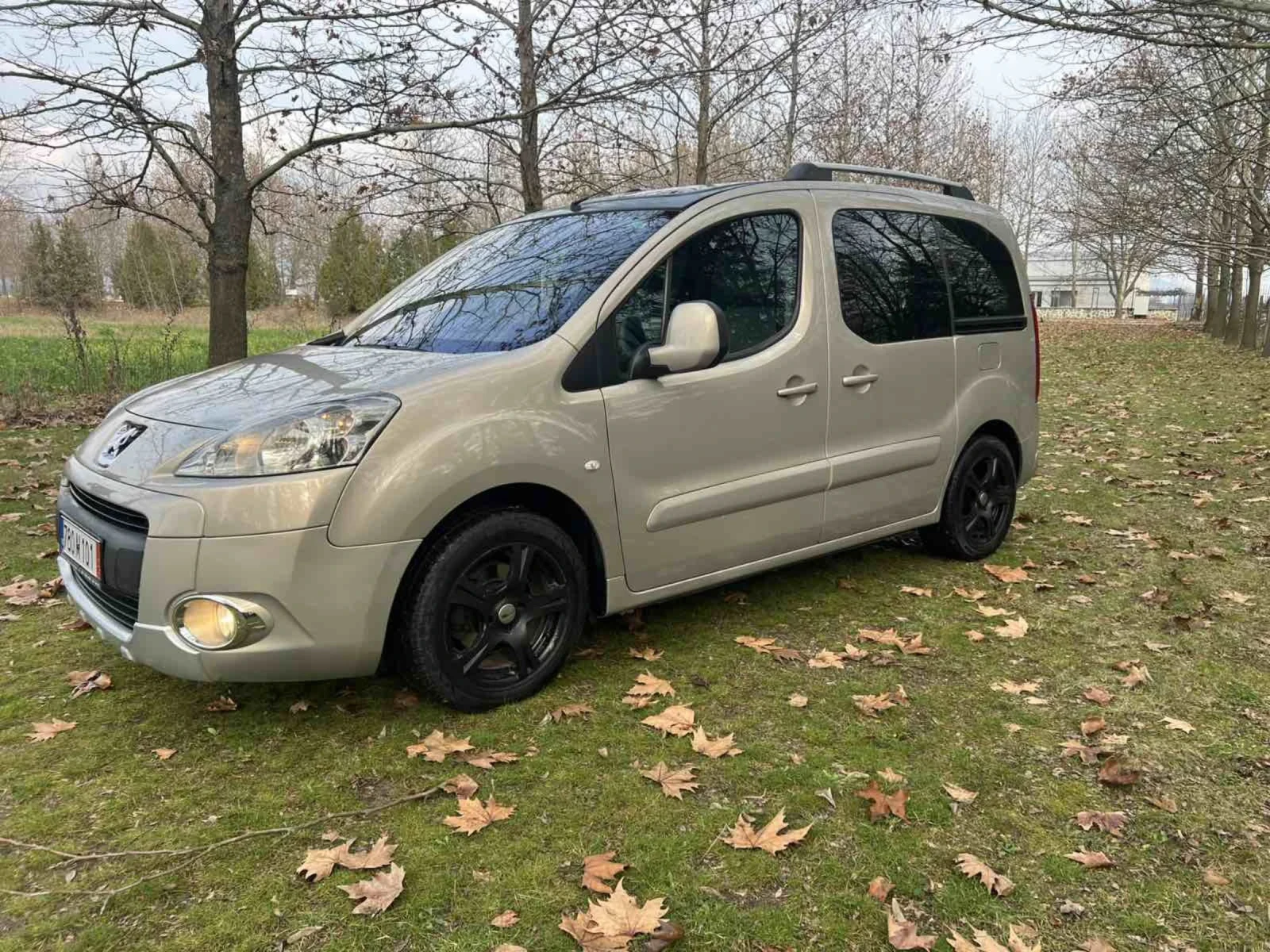 Peugeot Partner Tepee 1.6 109hp | Mobile.bg � ����������� 4