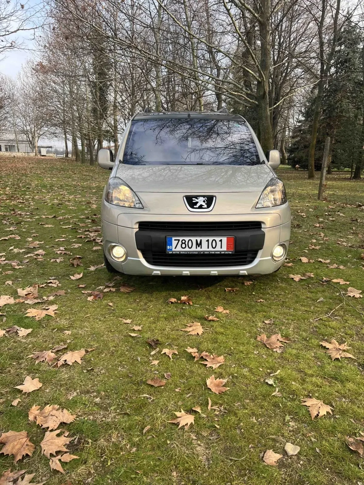 Peugeot Partner Tepee 1.6 109hp | Mobile.bg � ����������� 1