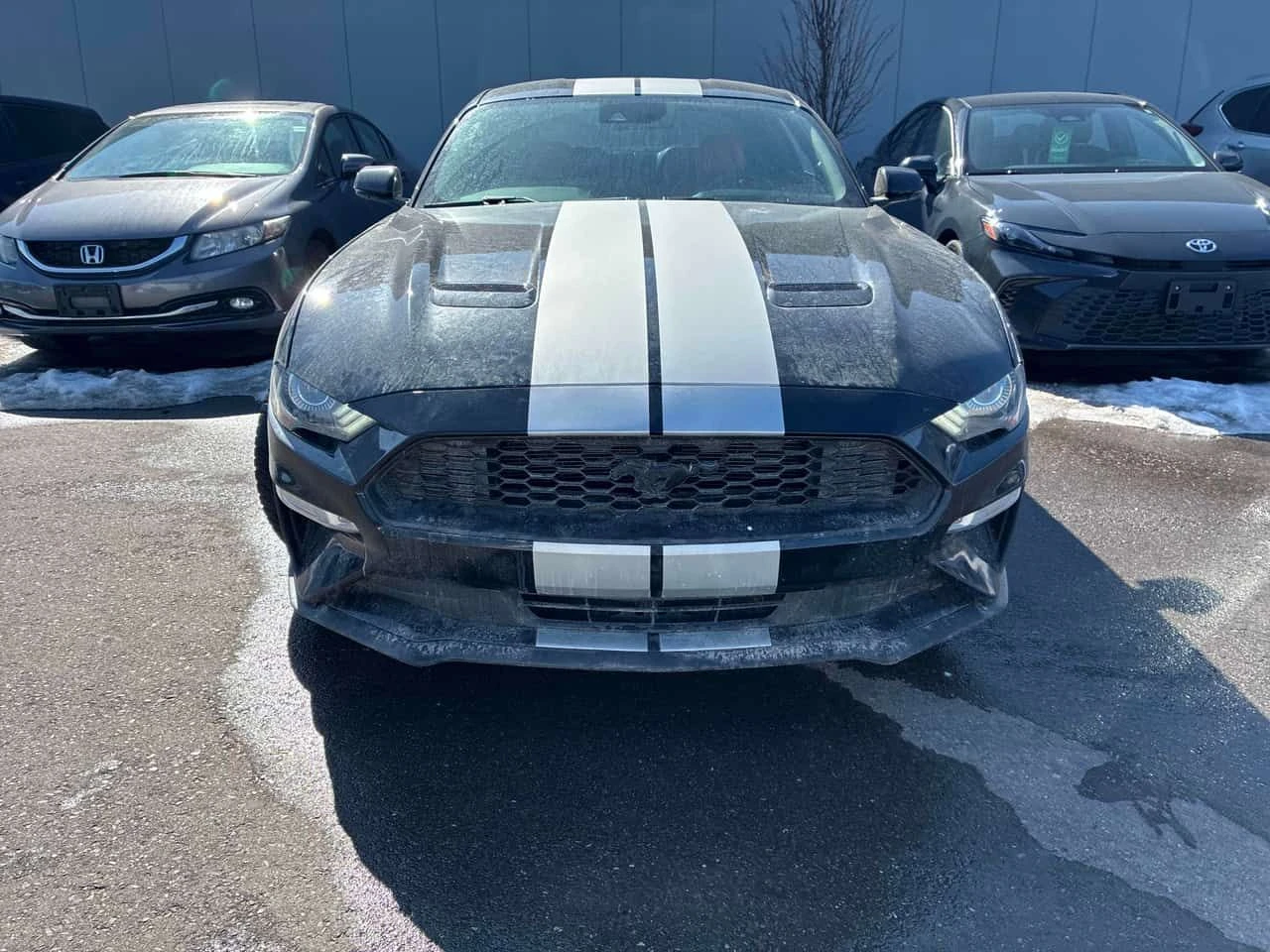 Ford Mustang * EcoBoost * CARFAX * ЦЕНА ДО БГ, снимка 5 - Автомобили и джипове - 53741113