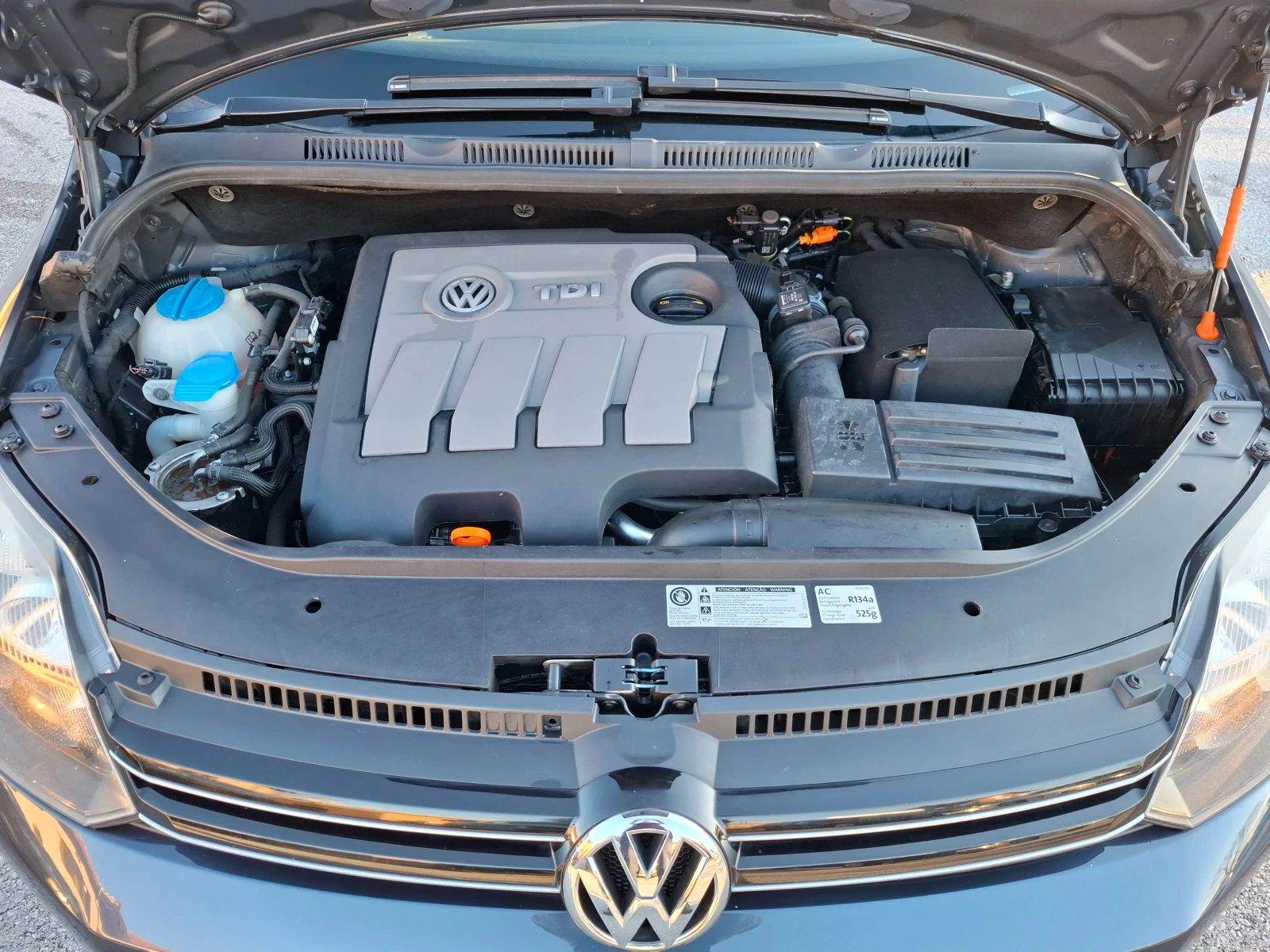 VW Golf Plus 1.6 TDI | Mobile.bg   13