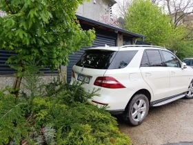 Mercedes-Benz ML 350 Bluetek  | Mobile.bg    15
