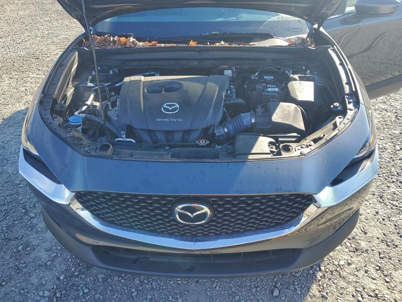 Mazda CX-30 2.5l Select | Mobile.bg � ����������� 12