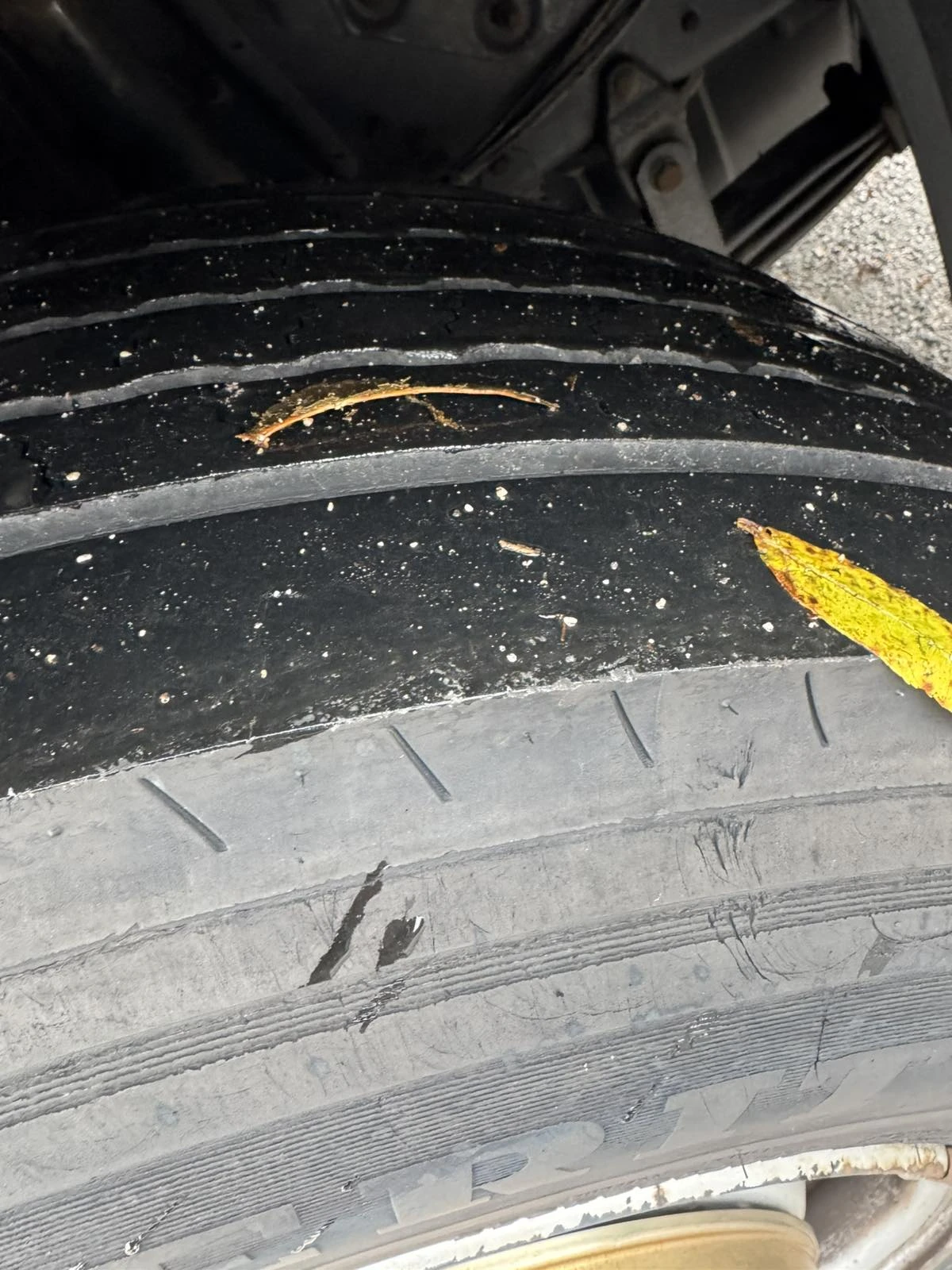 Scania P P 410 -  ,   !  | Mobile.bg   14