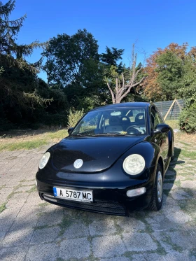     VW Beetle 9
