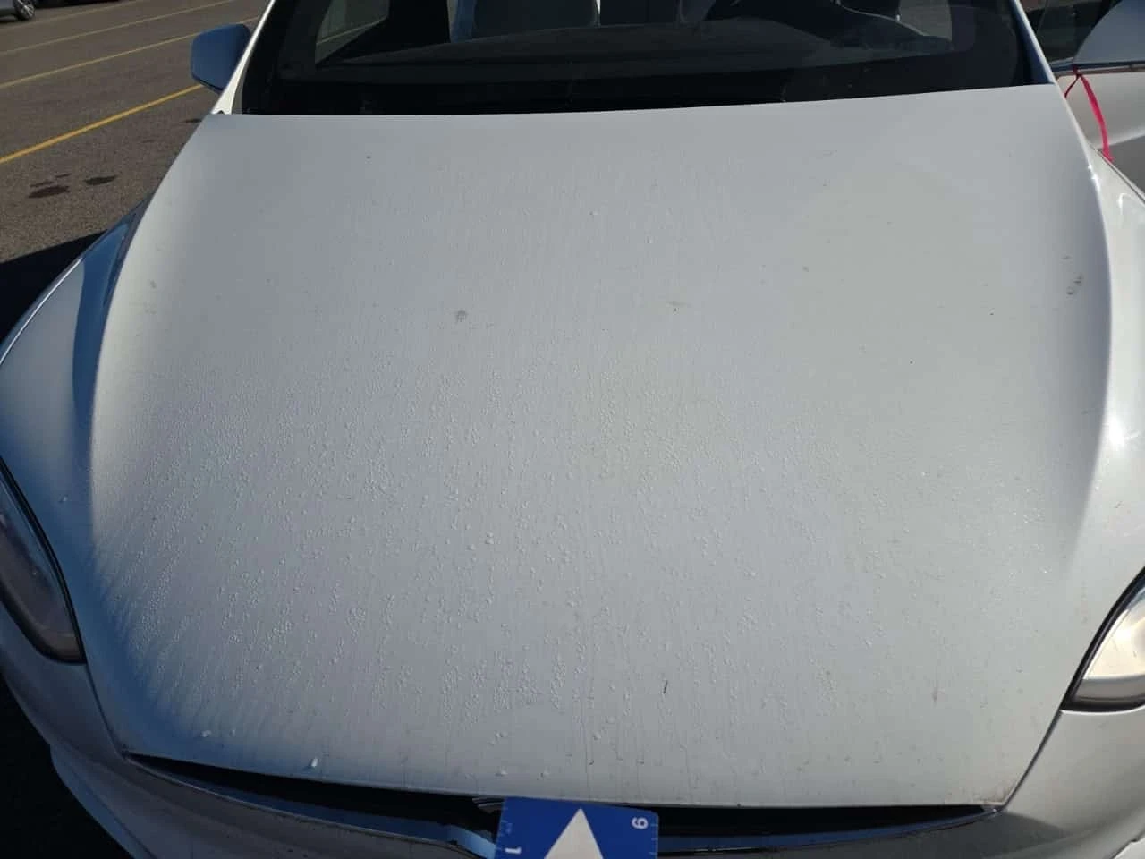 Tesla Model X * AWD * ���������� ��� ������������ ������*  | Mobile.bg � ����������� 14