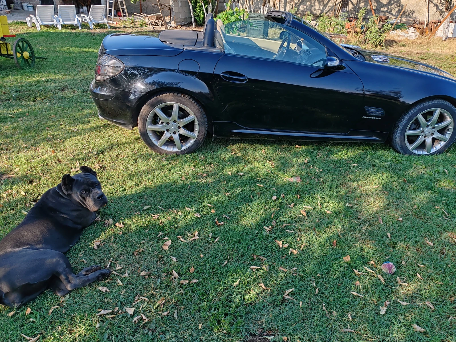 Mercedes-Benz SLK  - изображение 8