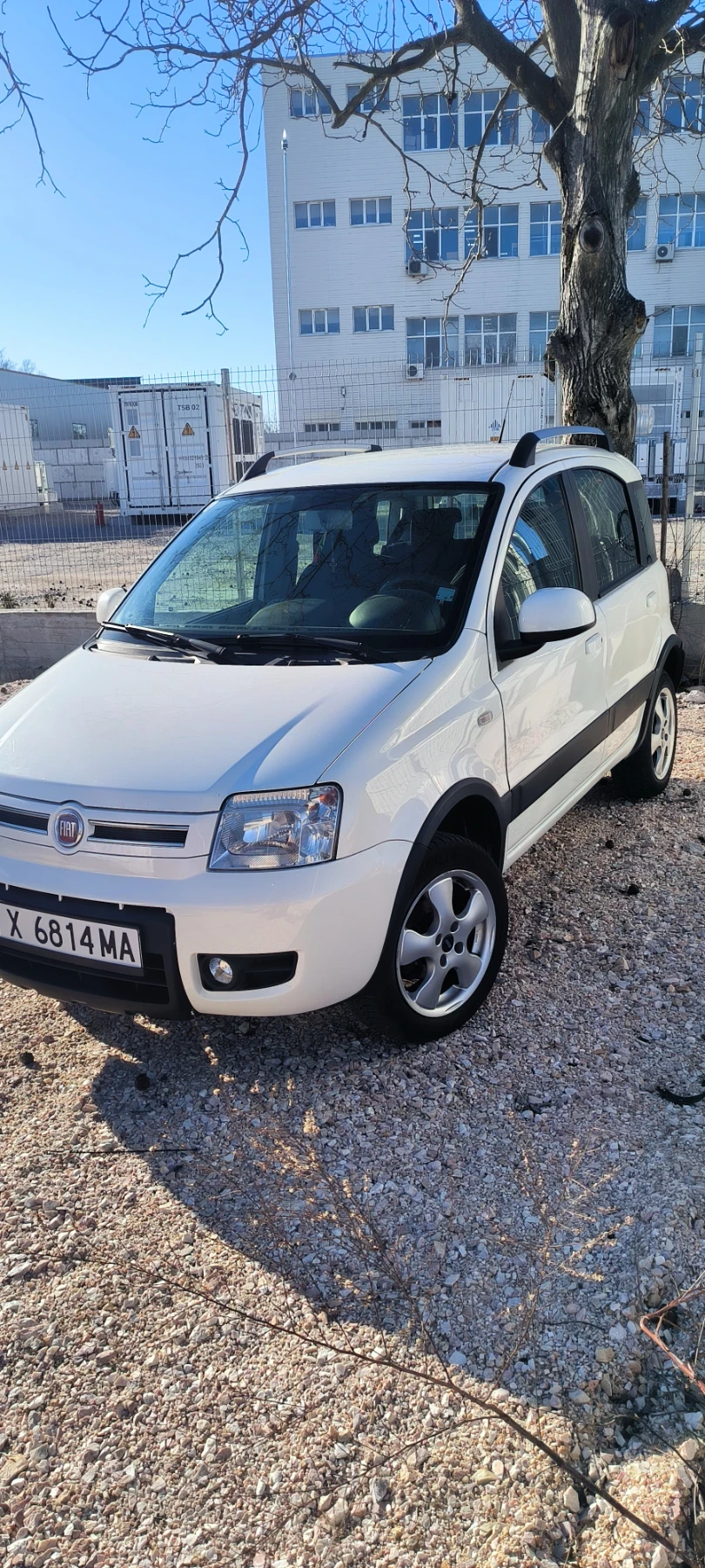 Fiat Panda Газ бензин  - изображение 2