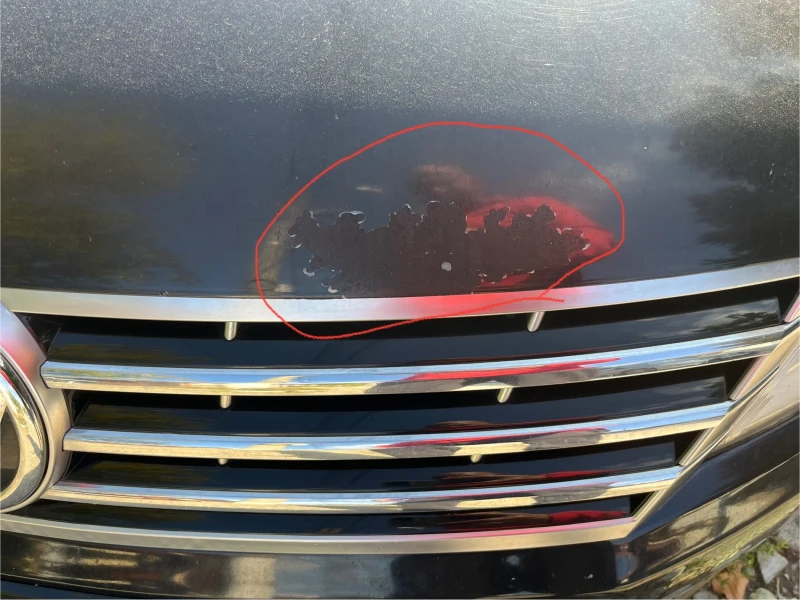 VW CC 4-mouton , снимка 6 - Автомобили и джипове - 50367577