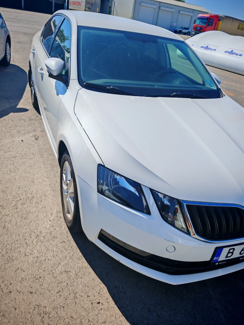 Skoda Octavia, снимка 5 - Автомобили и джипове - 51447517