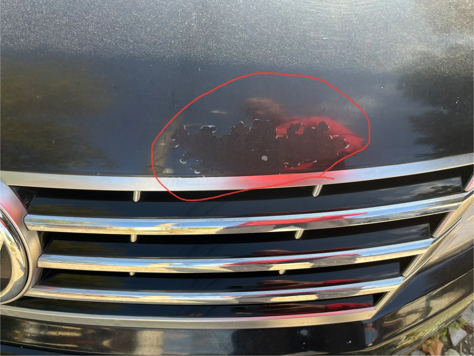 VW CC 4-mouton  | Mobile.bg   6