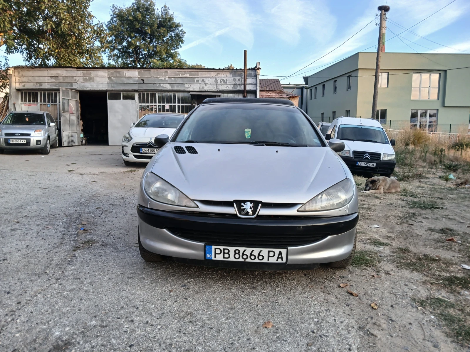 Peugeot 206, снимка 3 - Автомобили и джипове - 56423272