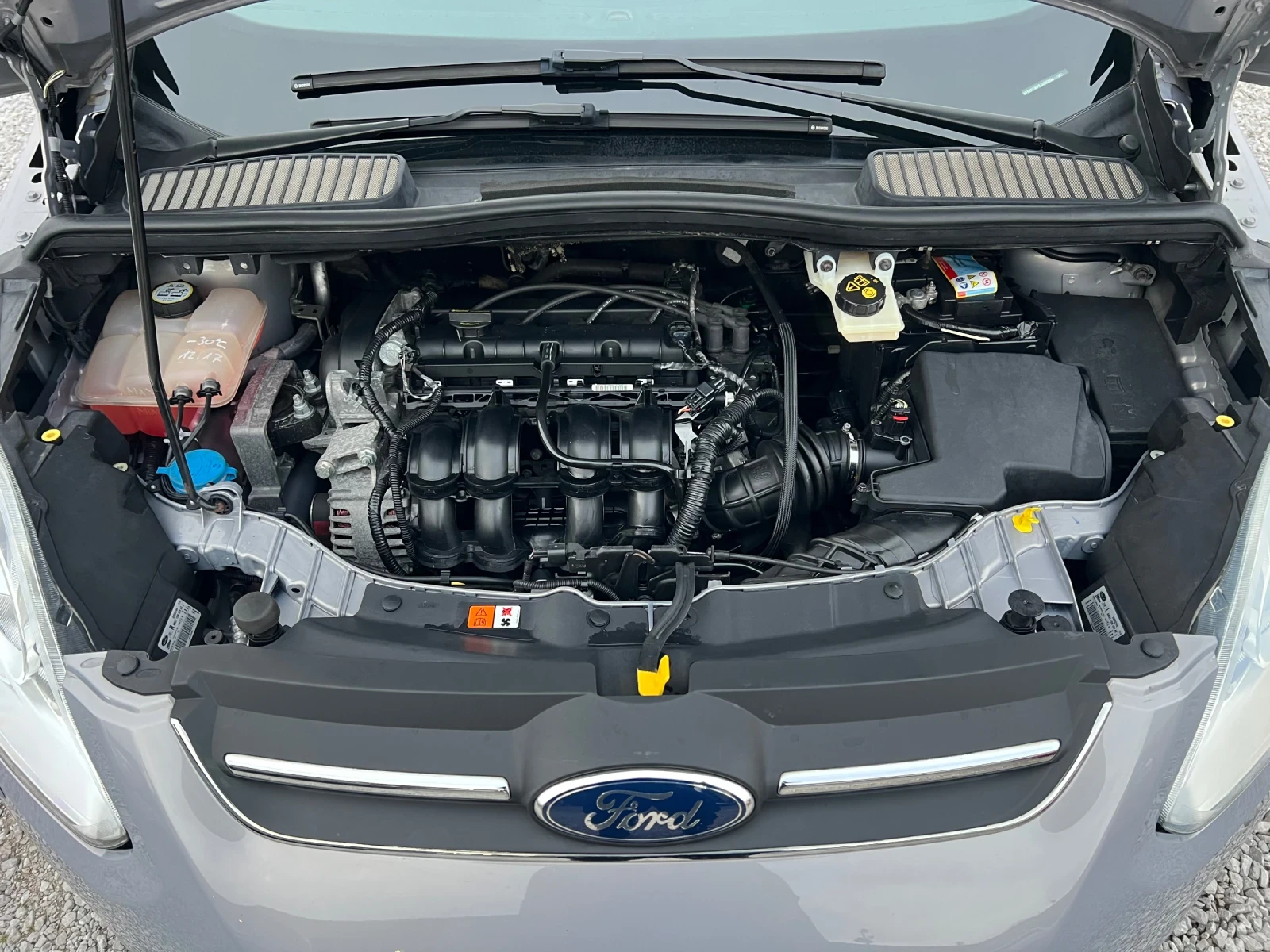 Ford C-max 1.6i* 125��* ���������*  | Mobile.bg � ����������� 16