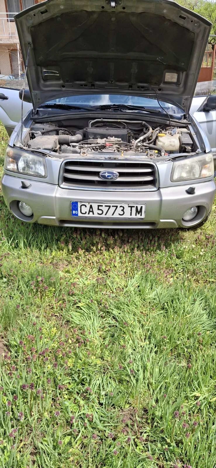 Subaru Forester  - изображение 6