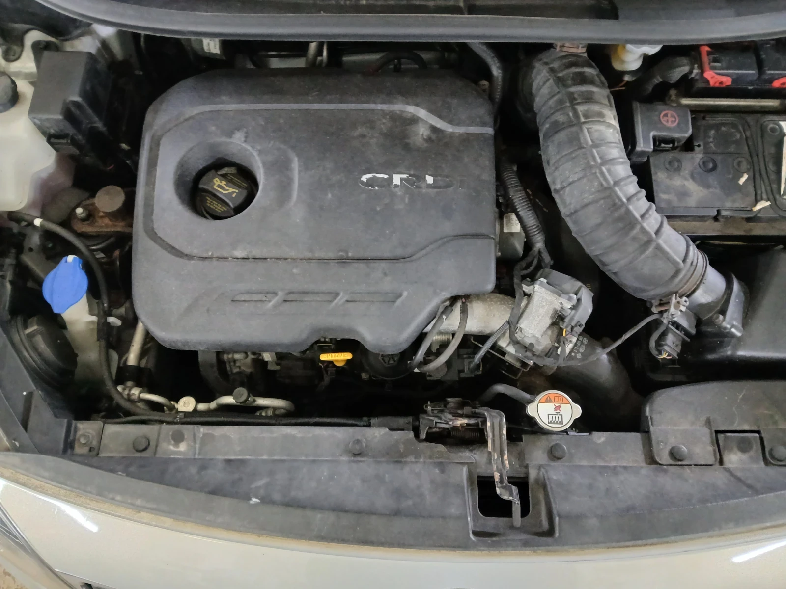 Kia Rio | Mobile.bg � ����������� 5