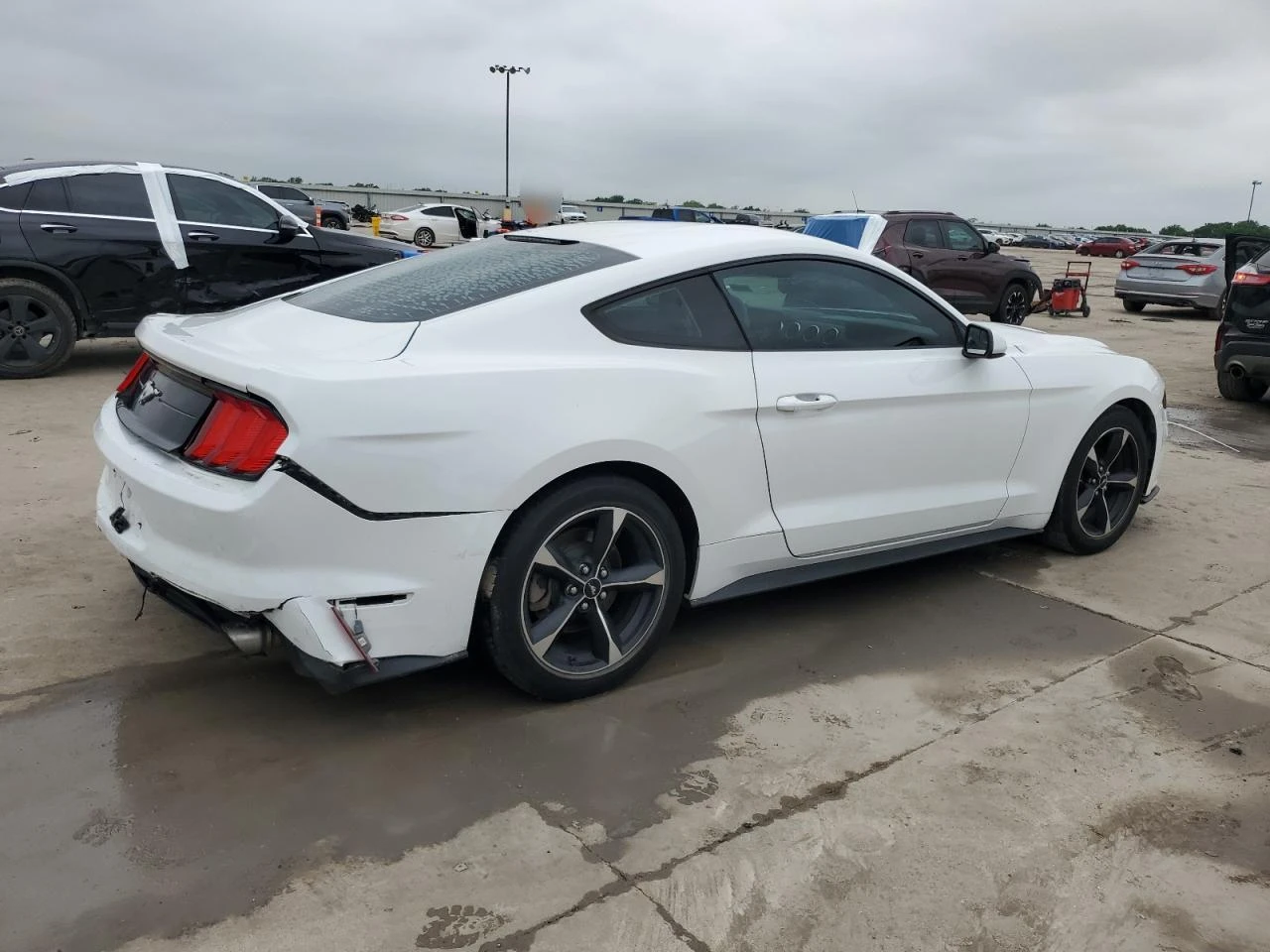 Ford Mustang ECOBOOST/КРАЙНА ЦЕНА/ПЪЛНА СЕРВИЗНА ИСТОРИЯ! - изображение 4