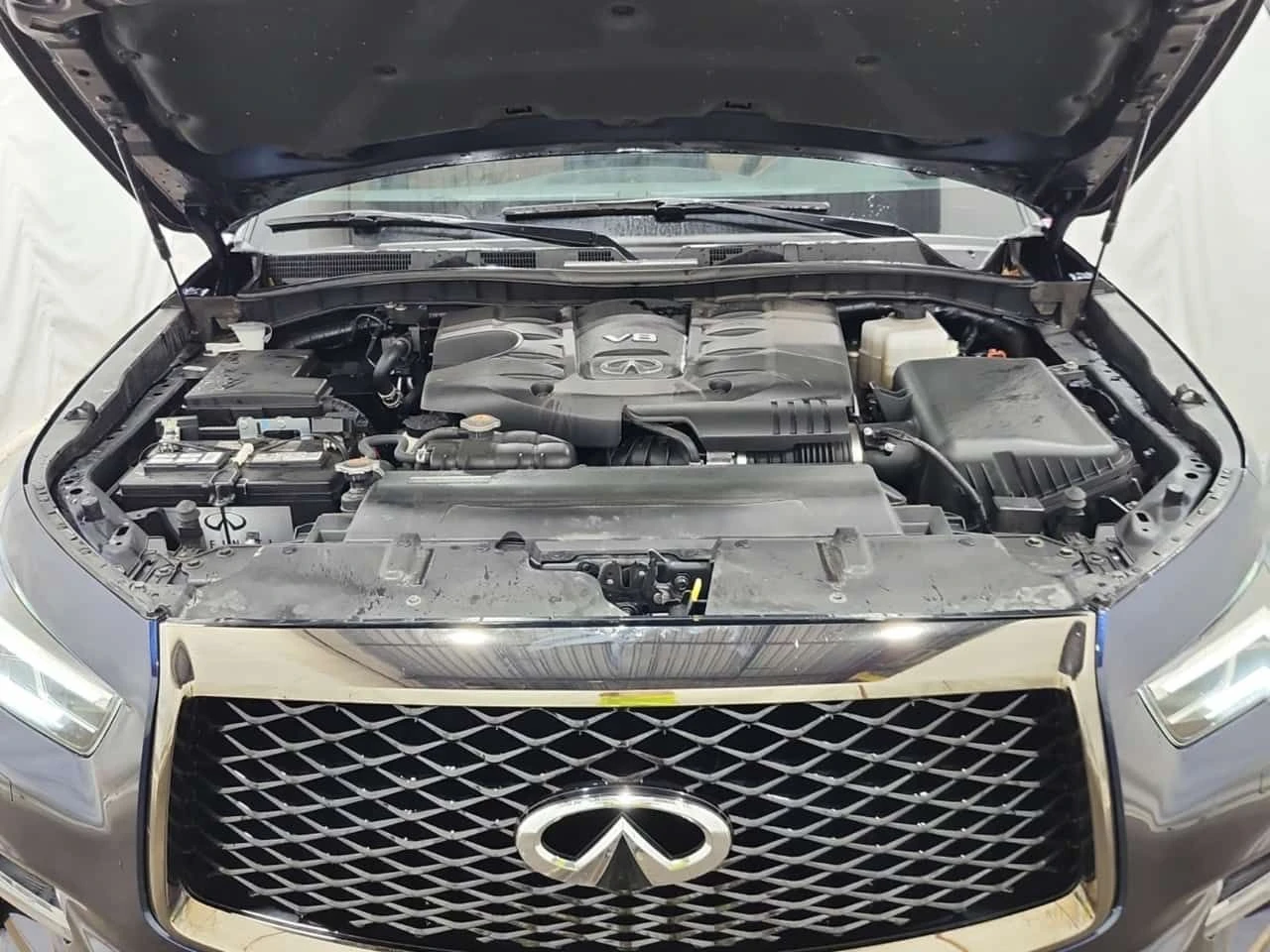 Infiniti QX80 * PROACTIVE 7 PASSENGER * CARFAX * ��� ��������� * | Mobile.bg � ����������� 16