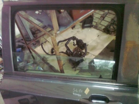 ����� �� �������� �� ������ ����� ���� �� ���� ����� 4 ����� �����